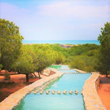 Apartment With Pool, Sea Views & Balcony Less Than 10Min Walk To La Mata Beach! Torrevieja Eksteriør bilde